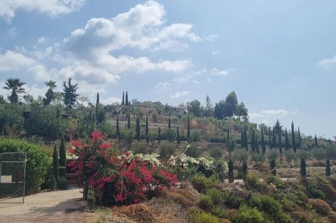 2-Hour Botanic Garden Tour in Akoursos - Herbs, trees, and old village tools