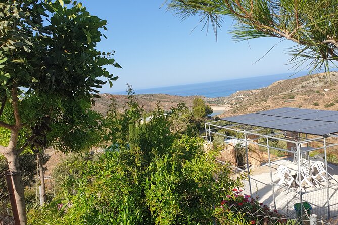 2-Hour Botanic Garden Tour in Akoursos - A chapel, roof garden, and time to breathe