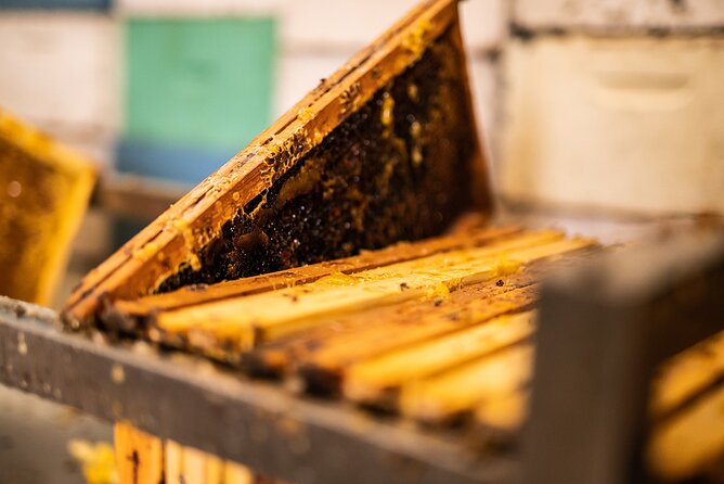 30-Minute Guided Honey Tasting Activity in Melini - Starting at Cyprus Honey Oros Maxaira
