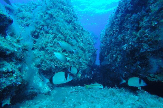 90-Minutes Glass Bottom Trip With Quick Dip - Stop one: the Vera K shipwreck