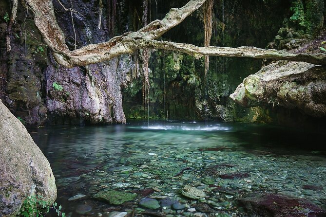Akamas, Baths of Aphrodite and Blue Lagoon Day Tour from Paphos - The Blue Lagoon is the main event