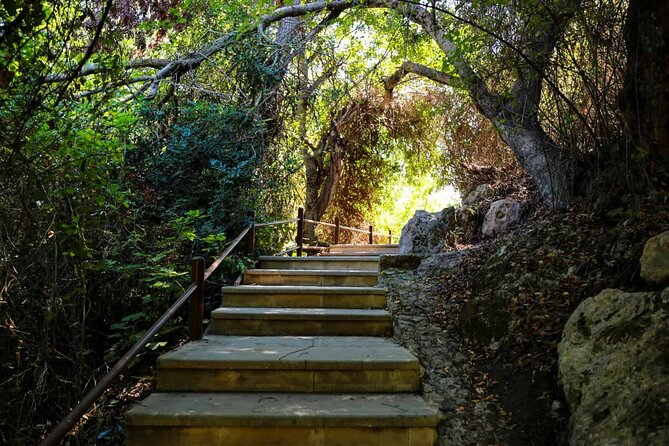 Akamas, Baths of Aphrodite and Blue Lagoon Day Tour from Paphos - What the $53.92 price really covers