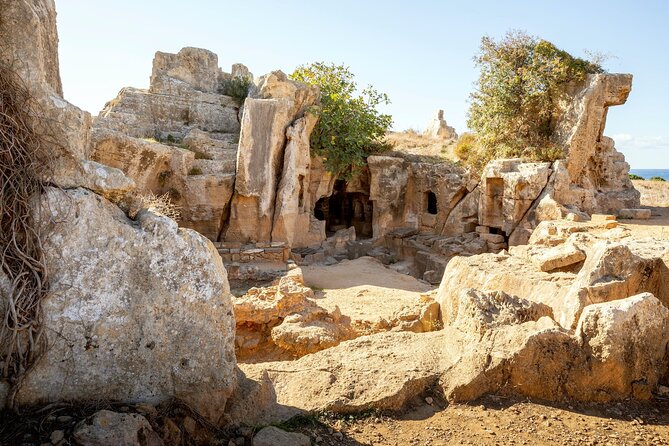 Ancient Kourion Tour with Paphos Town from Limassol - Free time in Paphos town and by the harbor