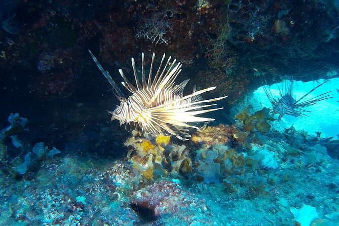 Beginners Discover Scuba Diving By Boat, Best Spot In Cyprus - The boat ride along the Akamas coast