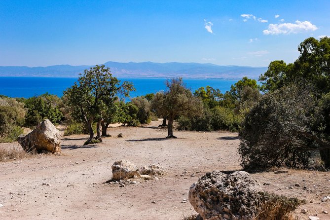 Blue Lagoon and Aphrodite’s Birthplace Day Tour from Limassol - The guide and group experience