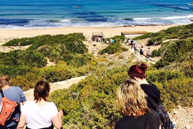 Cruise and 4X4 Safari Tour at Akamas Peninsula from Paphos - Lara Bay and the turtle nesting coast