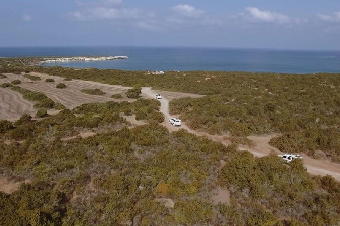 Cruise and 4X4 Safari Tour at Akamas Peninsula from Paphos - The 4x4 ride: fun for some, rough for others