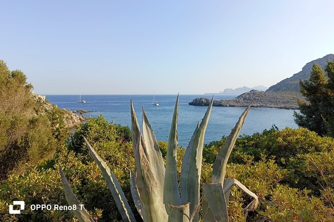 Day Trip to the Paphos amazing sides from Limassol. - Booking, Cancellation, and Final Advice