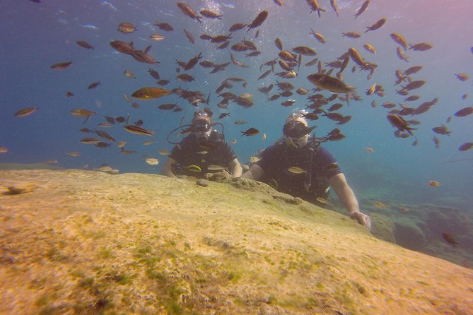 Discover Scuba diving - Key points about this Ayia Napa scuba experience
