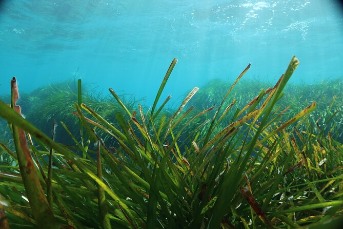 Discover Scuba Diving Amathounta's Ancient Port - Private attention from Blue Thunder Diving