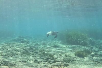 Discover Scuba Diving Amathounta’s Ancient Port
