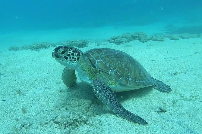 Discover SCUBA Diving with Pissouri Bay Divers - Meeting the equipment before entering the sea