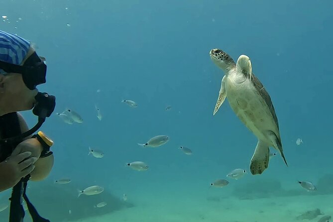 Discover SCUBA Diving with Pissouri Bay Divers - Reaching the sea and practising the basics