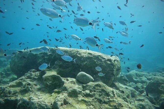 Discover SCUBA Diving with Pissouri Bay Divers - Why the instructors make a difference