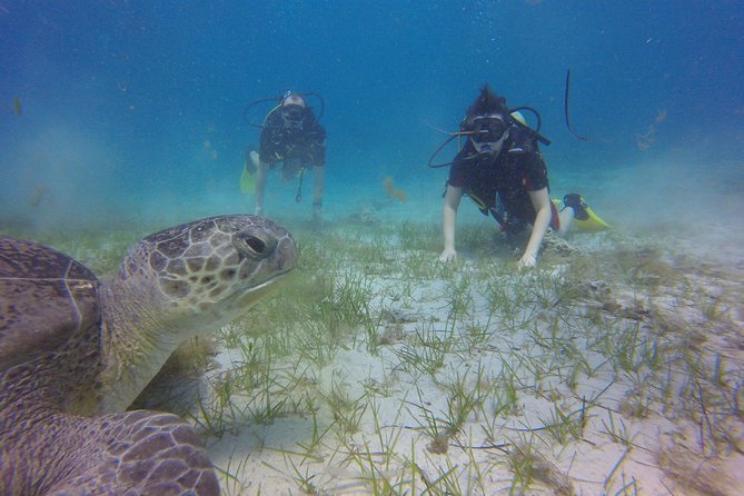 Discover Scuba Diving - What happens during the three-hour outing