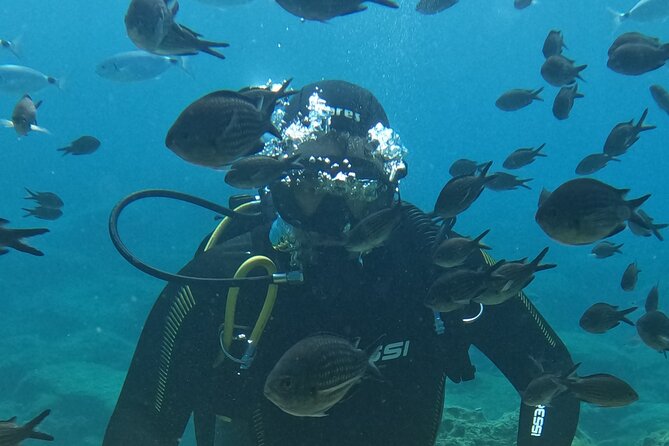 Dive The Rock (Scuba Diving Experience in Protaras) - Key Points Before You Book