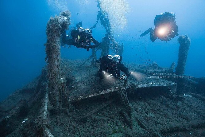 Dive The Rock (Scuba Diving Experience in Protaras) - Is the Fish Feeding Worth It?
