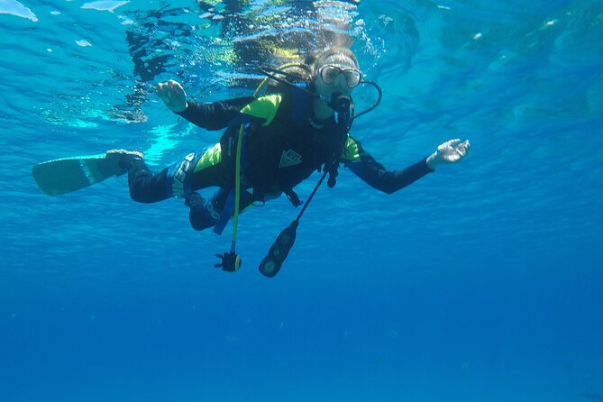 Dive The Rock (Scuba Diving Experience in Protaras) - What You Pay at $102.12