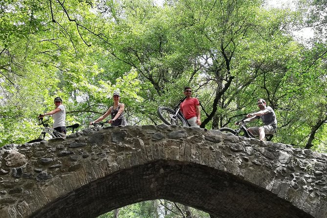 Explore Paphos forest with e-mountain bikes - Key points at a glance