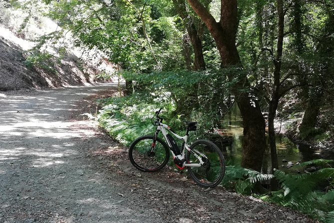 Explore Paphos forest with e-mountain bikes - What comes with the mezze lunch