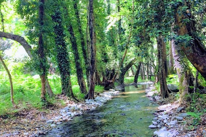 Explore Paphos forest with e-mountain bikes - Who will get the most from this ride