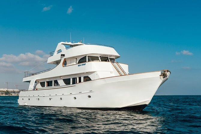 Full Day Blue Lagoon Cruise (Paphos to Latchi) - Sea Star - Buffet Lunch, Seasonal Fruit, and the Open Bar