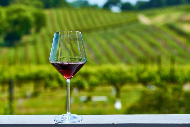 Full Day Private Cyprus Wine Tour from Alaminos - Lunch and free time in Omodos