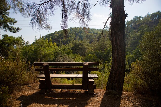 Full Day Tour in Troodos Mountains: Villages & Waterfalls - Why this private mountain day works