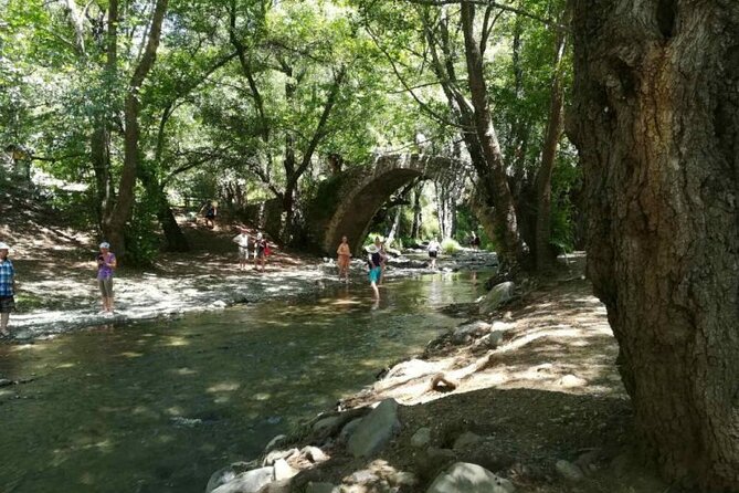 Full Day Troodos Guided Safari Tour with Pick Up - From the Water Dam Into Troodos Forest