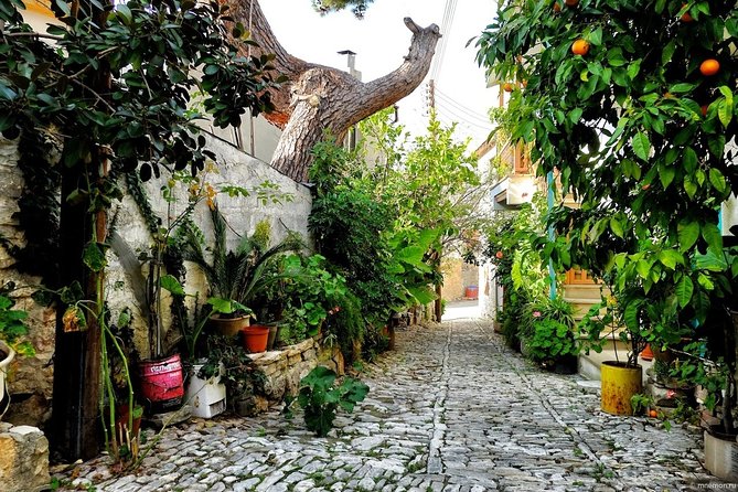 Gourmet Cyprus Tour – Local Flavors & Wine from Paphos - Handmade jams at Nikis Sweets Factory