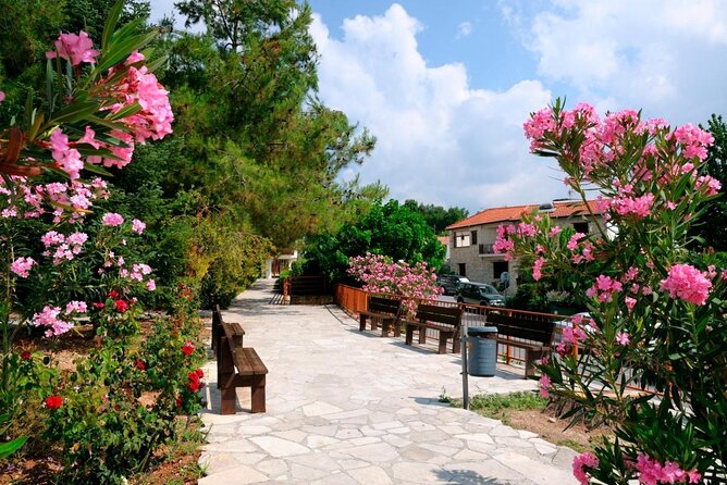 Grand Tour Full Day Jeep Safari from Paphos - The quick take