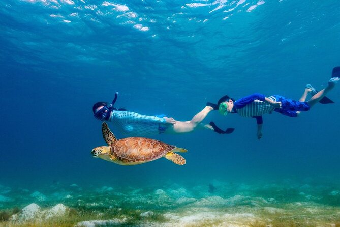 Guided snorkeling trip to the turtles in Protaras - The value of $90.31 per person