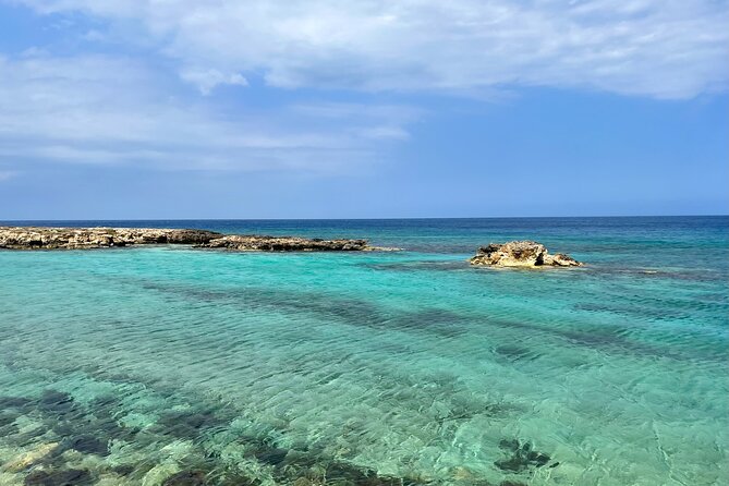 Guided snorkeling trip to the turtles in Protaras - What the three-hour schedule really includes