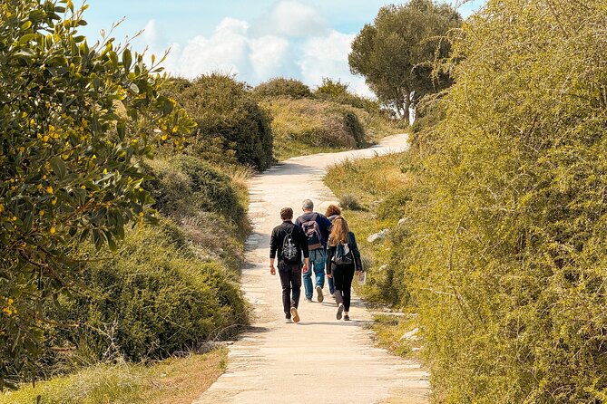 Guided Tour of Limassol with Kourion and Kolossi Castle - A practical route from Paphos to Limassol