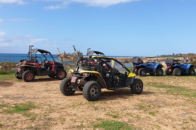 Half-Day Buggy Safari to Akamas Peninsula with Lunch - Starting in Paphos with a proper safety briefing