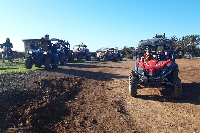 Half-Day Buggy Safari to Akamas Peninsula with Lunch - What the $283.12 group price represents