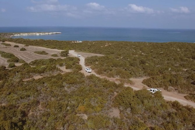 Half day Safari Tour to Akamas Peninsula from Paphos - The 8:30 a.m. pickup and 4x4 ride