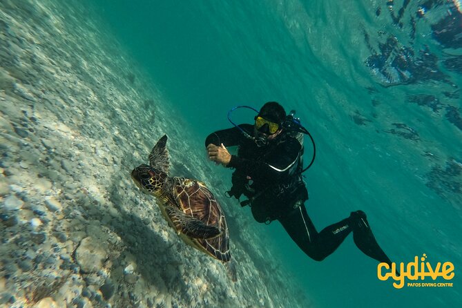 Half-Day Scuba Diving Tour - Discover Scuba Diving! - Why This Paphos Introduction Works for Beginners