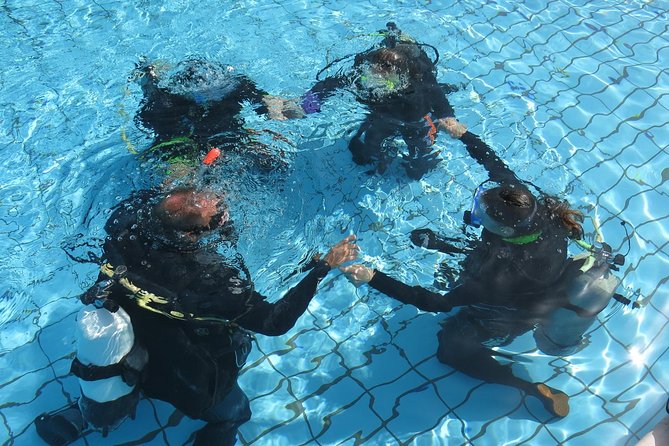 Half-Day Scuba Diving Tour - Discover Scuba Diving! - What the Experience Feels Like in the Sea