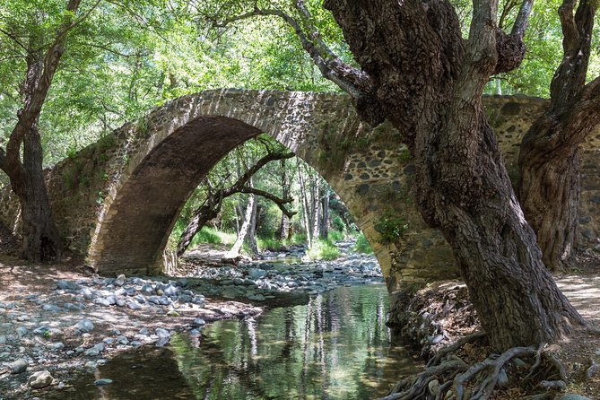 Individual Tours from Paphos - Price and value for groups of four