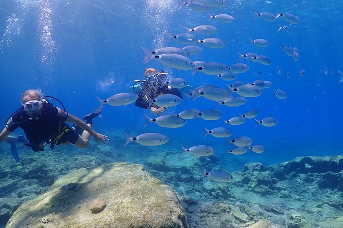Introductory diving in small groups - A small group changes the experience