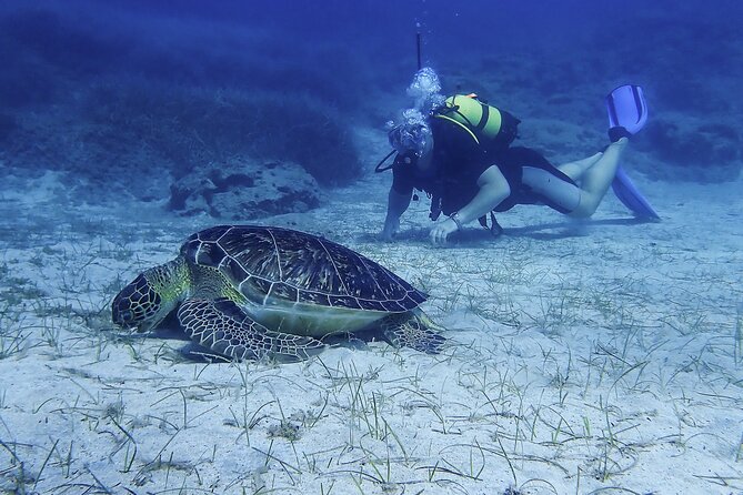 Introductory diving in small groups - How the instruction measures up