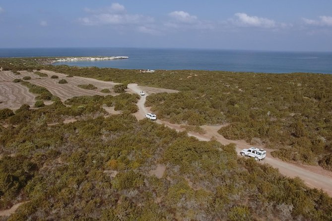 Jeep Safari Akamas from Paphos - Key points to know before you book