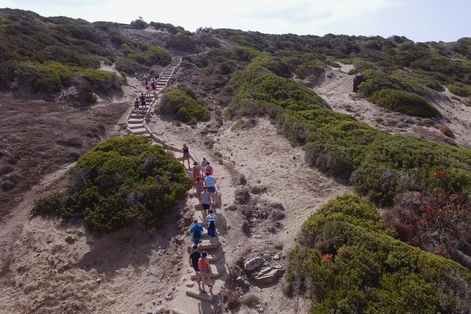 Jeep Safari to Akamas from Limassol - Why this Akamas trip is worth considering
