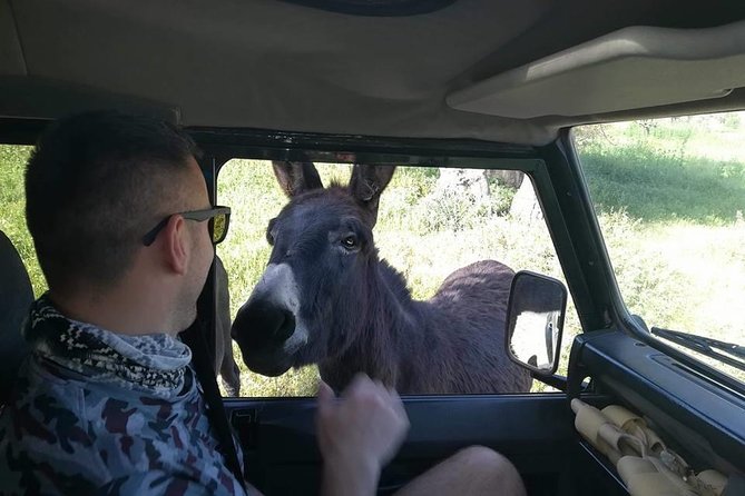 Jeep Safari to Akamas National Park: Avakas Gorge Tour from Paphos - Lara Bay and the work to protect turtles