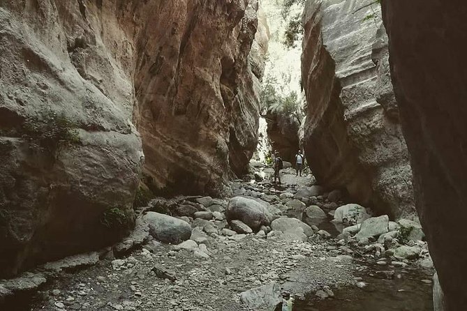 Jeep Safari to Akamas National Park: Avakas Gorge Tour from Paphos - Akamas forest and the swimming stop