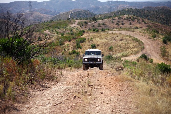 Jeep Safari to Akamas National Park: Avakas Gorge Tour from Paphos - Latchi lunch: good food, limited time