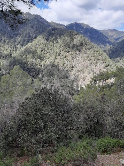 Jeep safari to troodos from Paphos in English in French too - A monastery visit with time to look around