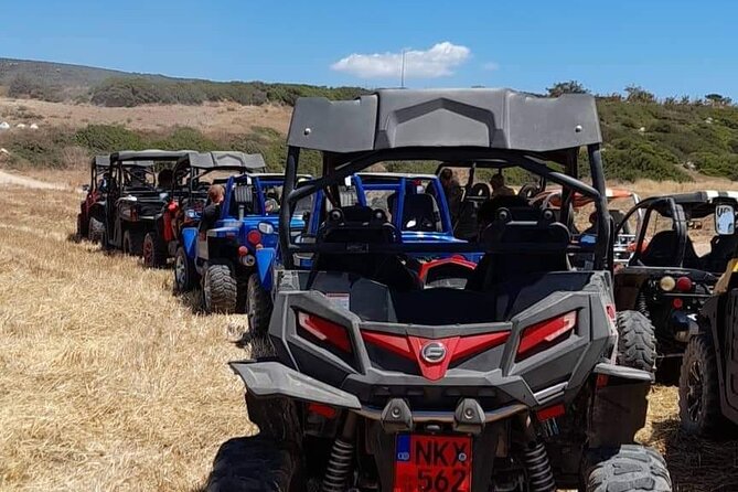 Lara Bay & Adonis Falls Quad & Buggy Tour - Adonis Baths: a 40-minute swim stop