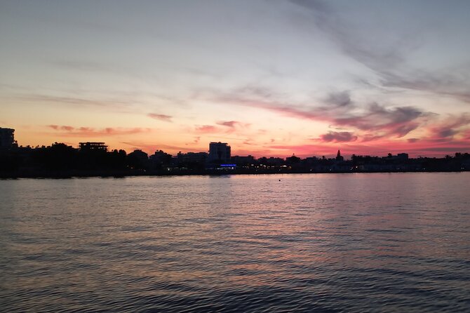 Larnaca Sunset Cruise - The Larnaca coast and its palm-lined beach